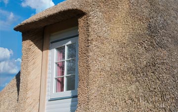 Hanmer thatch roof disadvantages