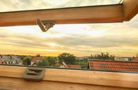 rated Hanmer roof window companies